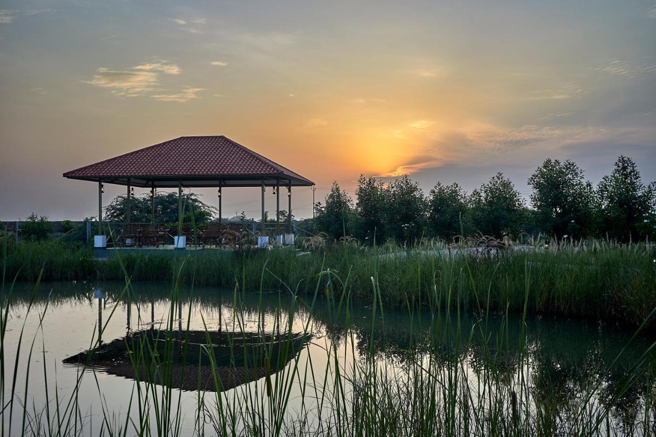 Blackbuck Safari Lodge Velavadar Bavliari Экстерьер фото